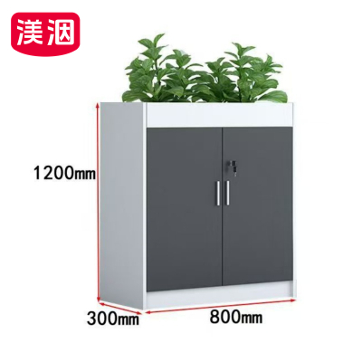 渼洇 文件柜 二门 个