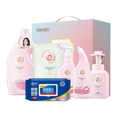 阿道夫蒂姆森 家庭清洁6件套-DMS250818001