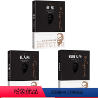 [正版]高尔基自传体小说套装共3册童年在人间我的大学人民文学出版社