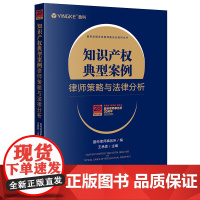 正版 知识产权典型案例律师策略与法律分析 王承恩 法律出版社