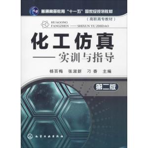 化工仿真-实训与指导(第二版)