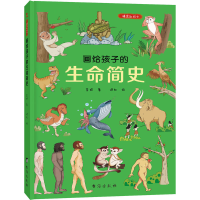 音像画给孩子的生命简史 精装彩绘本李妍