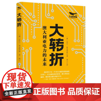 大转折:澳大利亚电力的未来