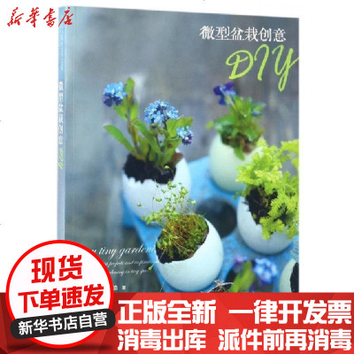 Diy创意盆栽价格 Diy创意盆栽最新报价 Diy创意盆栽多少钱 苏宁易购