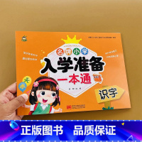 识字 幼小衔接 [正版]小树丫新蒙氏幼儿描红天天练小学入学准备一本通语文数学拼音识字1020以内加减幼小衔接一日一练学前