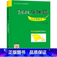 九年级 数学压轴题 初中通用 [正版]2024新版挑战压轴题中考数学物理化学入门篇精讲篇强化篇专项训练七年级八年级九年级