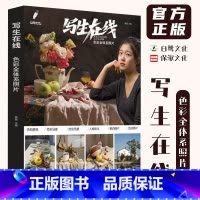 [正版]写生在线色彩全体系照片 2024白鹭文化杨震