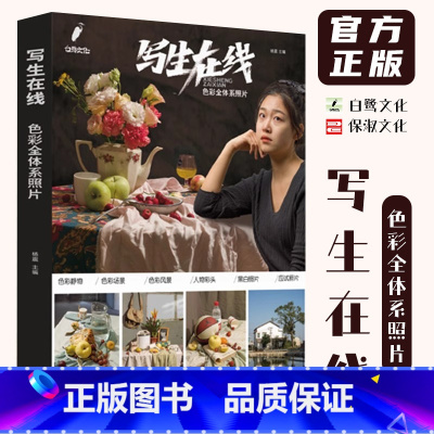 [正版]写生在线色彩全体系照片 2024白鹭文化杨震