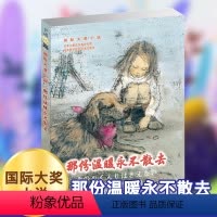 [正版]国际大奖小说 那份温暖永不散去 小学生二三四五六年级课外书校园成长小说童话绘本 青少年读物儿童文学成长励志书