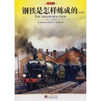 正版新书]钢铁是怎样炼成的奥斯特洛夫斯基 吴兴勇9787511704504