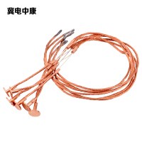 冀电中康 熔丝 RW-10/20A 根