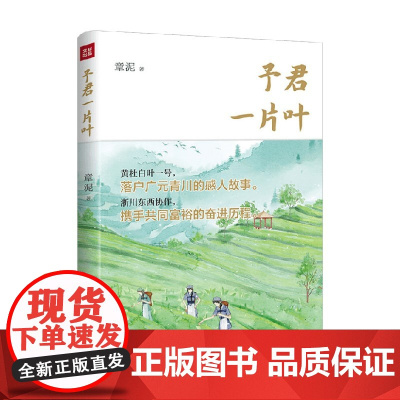 予君一片叶 章泥 著 中国作协重点扶持获五个一工程奖 反映东西协作乡村振兴 小说