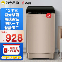 志高(CHIGO)12公斤波轮全自动洗衣机 家用小型宿舍公寓实用易操作 蓝光抑菌 洗脱一体