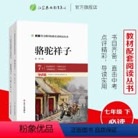 [正版]七年级下册 骆驼祥子+海底两万里 初中生阅读的原著 人教版文学老舍 统编课外阅读名著书籍中学生初中版套装