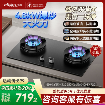 万和(Vanward)液化气燃气灶具煤气炉双灶嵌入式4.8kw家用猛火一级能效JZY-C7L50