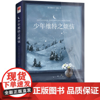 正版书籍 少年维特之烦恼原著 中文版无删减 中小学生成人阅读世界名著 少年维特的烦恼原著书籍 歌德著关惠文译