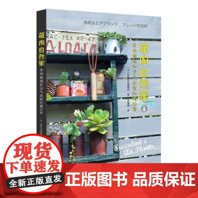 萌*自然家:多*植物和空气凤梨的慢日常