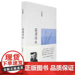 汪曾祺集:菰蒲深处(布面精装) 汪曾祺 河南文艺出版社 正版书籍
