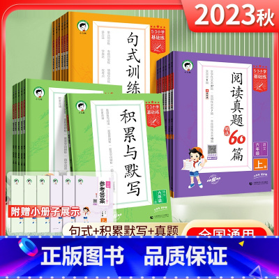 语文·句式训练大全(下册) 小学一年级 [正版]2024版53小学基础练语文积累与默写一二年级三年级四年级五年级六年级上