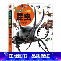 MOVE图鉴 昆虫 [正版] MOVE图鉴昆虫 恐龙 宇宙 日本讲谈社编昆虫大百科全书昆虫百科全书科普儿童版大百科绘本d