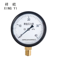 祥屹 膜盒压力表 YE100(量程请备注) 块