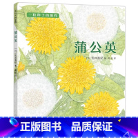 蒲公英精装 [正版]蒲公英绘本一粒种子的旅程儿童故事书幼儿园3-6-8周岁科普百科自然植物学宝宝睡前阅读物图书亲子启蒙认
