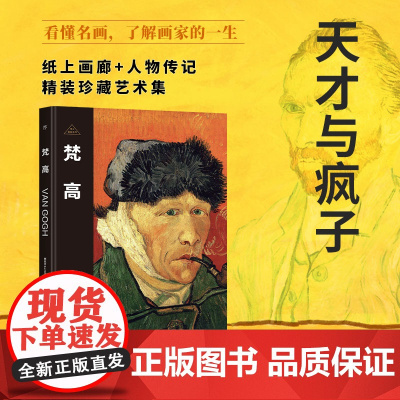 伟大画家:梵高 天才与疯子 纸上画廊+人物传记 精装珍藏艺术集 看懂名画 了解画家的一生广东人民出版社