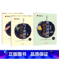 7年级上下册 +英语下 [正版]罗扬字帖课堂笔记天天练练字帖人教版同步字帖一课一练硬笔钢笔临摹一二三四五六七八年级上下册
