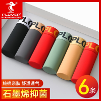 啄木鸟纯棉男士内裤抗菌男生四角裤舒适短裤透气四角裤头冬季棉质