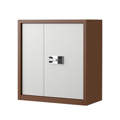 东升顺指纹电子保密柜钢制密码文件柜档案柜办公柜矮柜保密资料柜单节咖白:国保锁