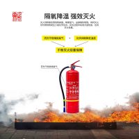 正天齐 手提式干粉灭火器MF/ABCE4