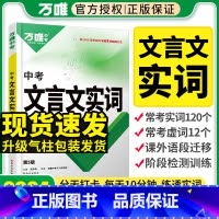 文言文实词 初中通用 [正版]2024新文言文实词迁移训练书 常用古汉语初中文言文词典中考语文复习资料七八九年级文言文实