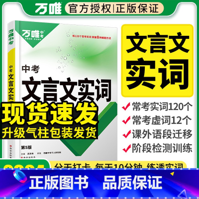 文言文实词 初中通用 [正版]2024新文言文实词迁移训练书 常用古汉语初中文言文词典中考语文复习资料七八九年级文言文实
