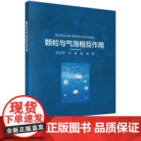 颗粒与气泡相互作用
