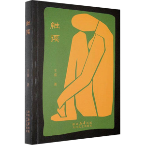 正版新书]触摸王喜 著9787551326261