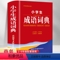 [正版]2022年小学生成语词典小学多功能大全四字字典中小学大词典中华现代汉语词语儿童训练大字典解释书出版2021