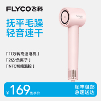 飞科FLYCO FH6370 冷热风护发电吹风