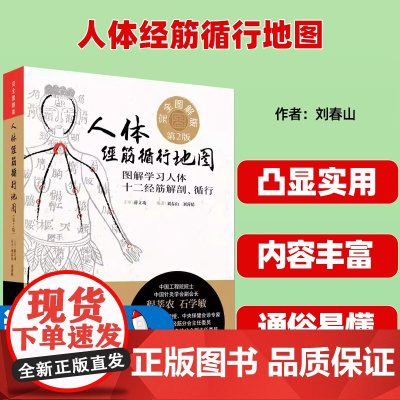 人体经筋循行地图