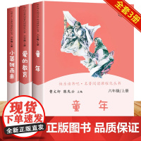 快乐读书吧六年级上册课外书必读正版全套3册人教版爱的教育童年书高尔基经典书小英雄雨来人民教育出版社阅读书籍上学期6老师