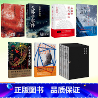 [2册]贝繁村谜团+隐秘的角落 [正版]岛田庄司作品系列任选隐秘的角落贝繁村的谜团占星术杀人魔法军舰消失之谜被诅咒的木乃