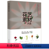 [正版]花艺素材全 花艺书籍 花束造型技法 初学插花技术技能入门书 新手学花艺色彩搭配书 花材识别宝典 手工花束造型技