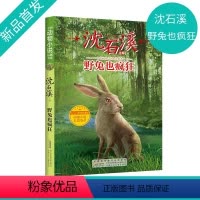 野兔也疯狂 [正版]野兔也疯狂 沈石溪动物小说 也疯狂fb小学生三四五六年级课外书阅读书籍儿童文学读物安徽少年儿童出