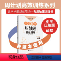 函数 [正版]中考数学压轴题高效训练 函数.圆.匀速动点问题.三角形与四边形.折叠与旋转5本套装