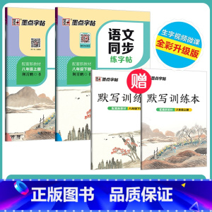 [初中生2本装][语文同步]8年级上册+下册 初中通用 [正版]正楷字帖初中生临摹练字初中名著阅读与摘抄字帖女生字体漂亮