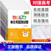 [人教版]化学 必修第二册 [正版]2024版对接新高考单元专题测试卷语文数学英语物理化学生物政治历史地理高一必修高二选