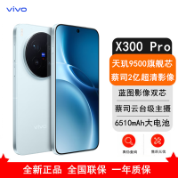 [全新]vivo X300 Pro 自在蓝 16GB+1TB 蓝晶×天玑9500芯 大电池 90W快充 支持无线充电 蔡司超级潜望长焦 拍照 AI手机