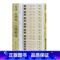 [正版]文徽明小楷精选 落花诗册+前后赤壁赋 技法精析+临摹范例+集字作品+高清原碑帖新书谱中国书法基础教程 文