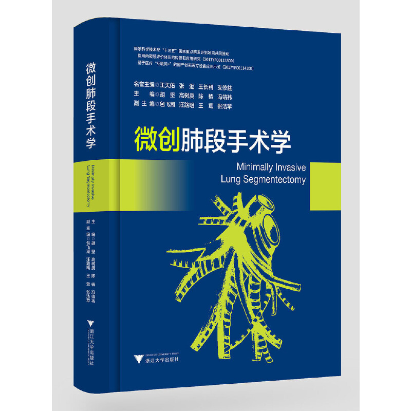 音像微创肺段手术学编者:胡坚//高树庚//陈椿//冯靖祎