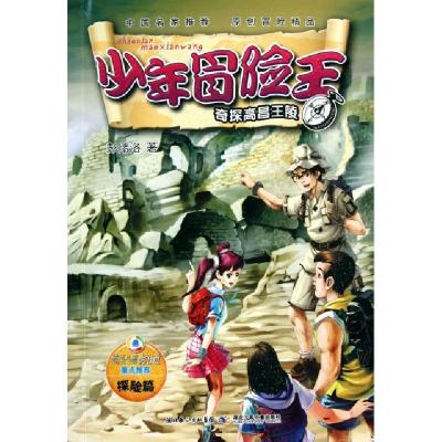 正版新书]少年冒险王(奇探高昌王陵)彭绪洛9787535352217