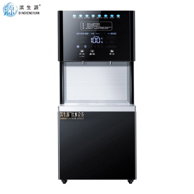滨生源商用开水器玻璃面板三级过滤BSY-90B(台)
